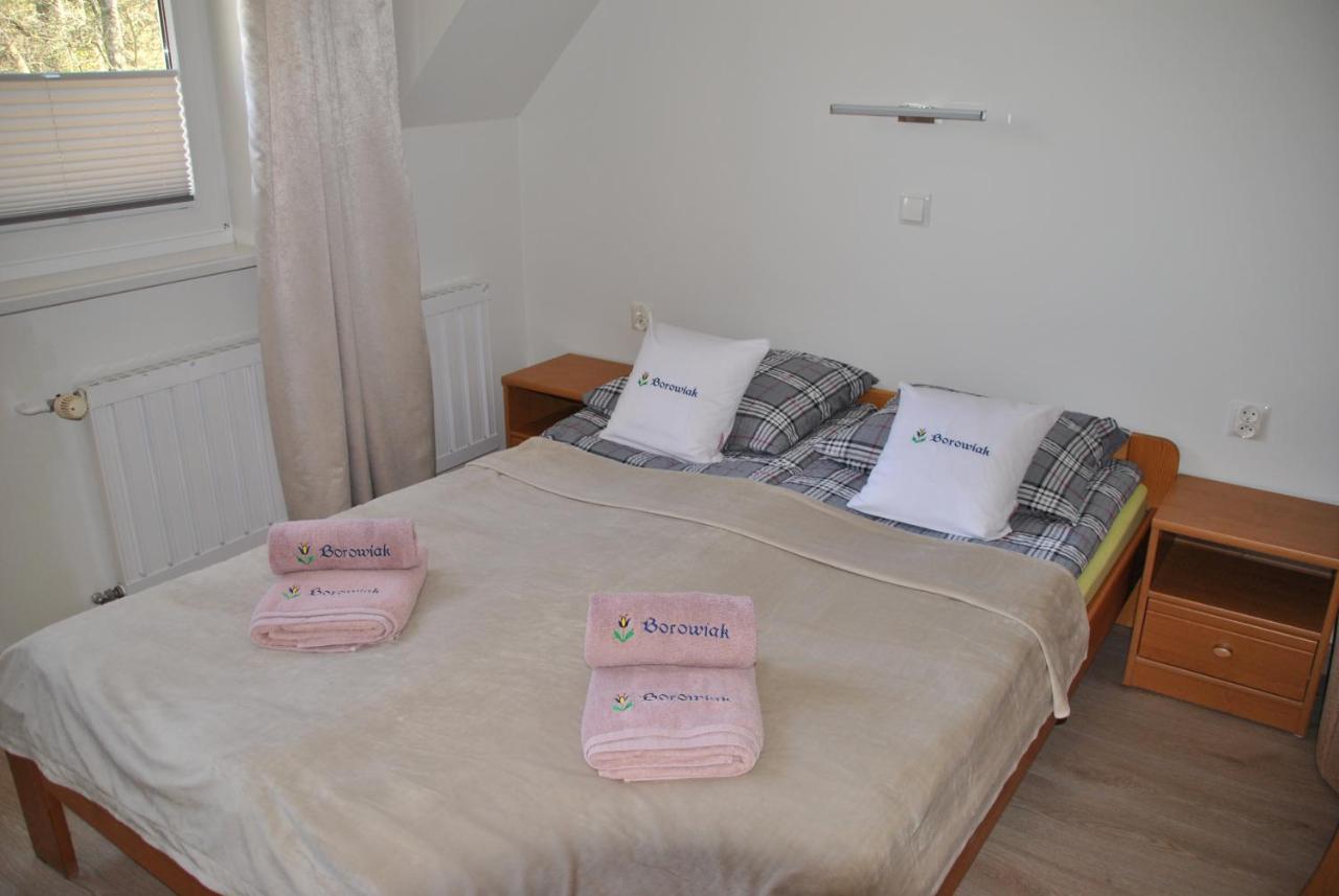 Homestay Borowiak